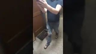 a bat came after me