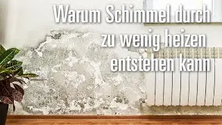 Warum Schimmel durch zu wenig heizen entstehen kann