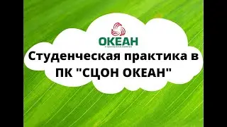 Как студенты проходят практику в ПК 