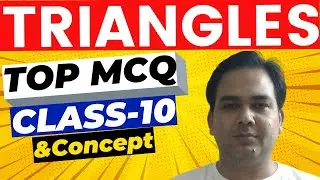 Triangles Class 10 MCQ TERM1  Solutions With Full Concepts
