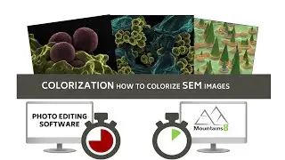 How to colorize SEM images with Mountains® image analysis software