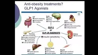 How Ozempic Boosts Weight Loss and Controls Blood Sugar