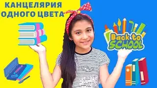 Купи Канцелярию одного цвета за 10 минут.  Челлендж Back to school. Wow Asalya