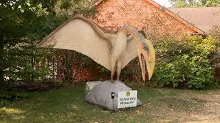 Dino Days at the Fort Wayne Children's Zoo
