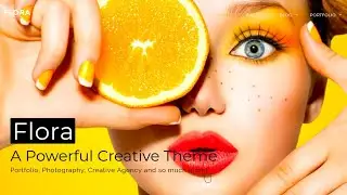 Best Premium Wordpress Themes For Portfolio
