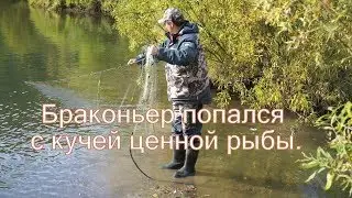Poacher caught with a stash of valuable fish