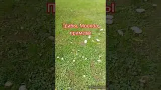 Примета войны #война