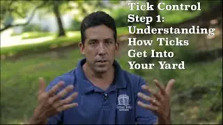 Tick Control Step 1: Understanding How Ticks Get In Your Yard