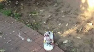 My Little South Africa