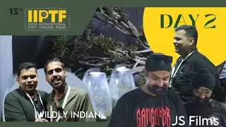 AQUARIUM PRODUCT STALLS AT IIPTF 2023|| BIGGEST PET EVENT IN INDIA ? @WildlyIndian @jsfilmsindia