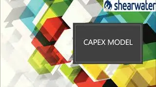 Capital & Asset Planning (Capex) for a large infrastructure company