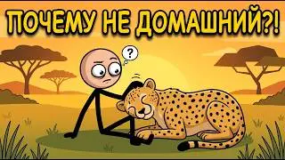Why Cheetahs Are Friendly (But Were Never Domesticated)