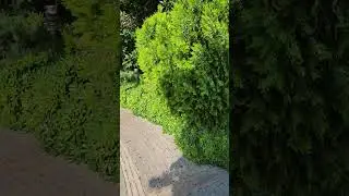 парк кемер турция park kemer turkey