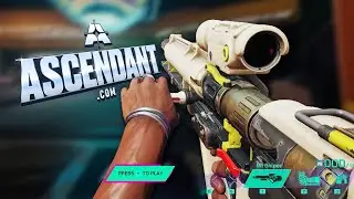 ASCENDANT | Beta - All Base Weapons Showcase | 4K