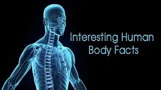 மனித உடலைப் பற்றி பலரும் அறியாத பத்து உண்மைகள்/top 10 facts about human body.