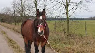 Spontanität ist gefragt-  Cinderella besuchen
