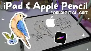 Avoid Confusion🫤Which iPad & Apple Pencil for Digital Art in Procreate App 2025