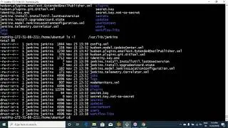 Jenkins 2