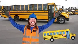 Handyman Hal learns about School Bus | School Bus for Kids