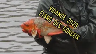 vidange d'étang 2023 : étang des gorceix