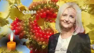 Світла память #Ірині_Фаріон