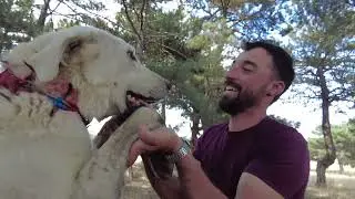 Anadolu'nun Yüreğine Dokunanlar ❤️ Orhun Topkaya @orhuntopkaya