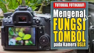 Mengenal FUNGSI TOMBOL pada kamera DSLR Canon untuk pemula  - TUTORIAL FOTOGRAFI