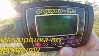 Правильная настройка Фортуна М3 по ферриту