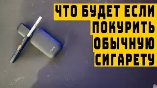 Что будет с человеком, если через устройство IQOS покурить обычную сигарету