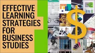 Ace Your Business Studies Exams: Proven Study Hacks for Success