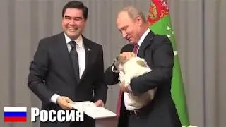 Простые человеческие радости