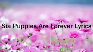 Sia Puppies Are Forever Lyrics