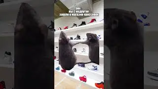 САМЫЕ ЛУЧШИЕ ПОДРУГИ #shorts