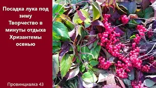 Посадка лука под зиму. Творчество в минуты отдыха. Хризантемы осенью.