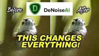 Topaz Denoise AI Tutorial & Review | Is It Worth Getting?