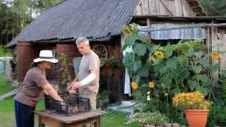 Village Life: Onion Picking, Country Breakfast, and the Joys of Simple Living