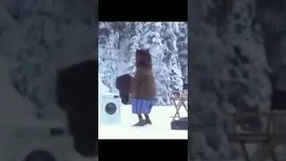 фреди фасбер