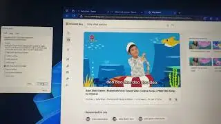 Baby Shark has BSOD