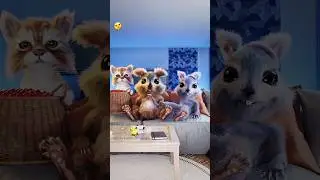 The solution to all our problems 