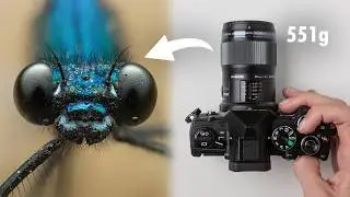 Small, Light & Powerful Macro Photography Setup (OM 5 + 60mm)