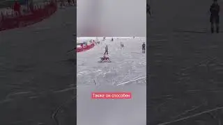 Олимпиада в Пекине: робот