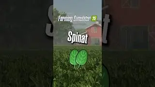 LS25 Preview: Spinat 🥬 #shorts