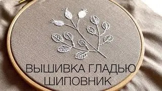 Video tutorial on embroidery Rosehip
