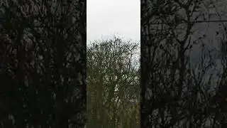 Як не бачишь?!