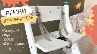 Ремни-ограничитель для Растущего стула «СТАНДАРТ» Конёк - Горбунёк