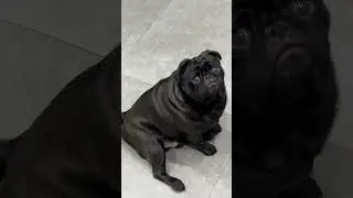 Ричард, доброе утро😍 