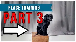 Placeboard Training Videos: Part 3