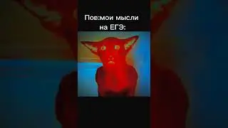 Мем Миша ты что пукнул?