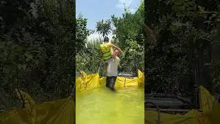 Water fun 3 2024