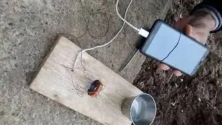 Бесплатная зарядка